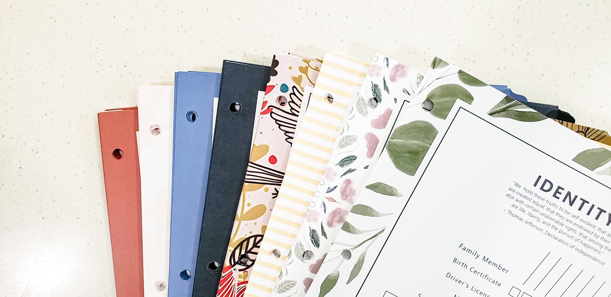 The Daily Binder FW24 Collection